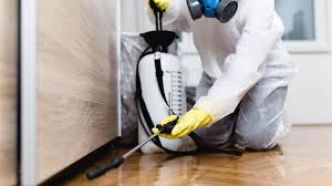 Emergency Pest Control Services in Sullivan City, TX